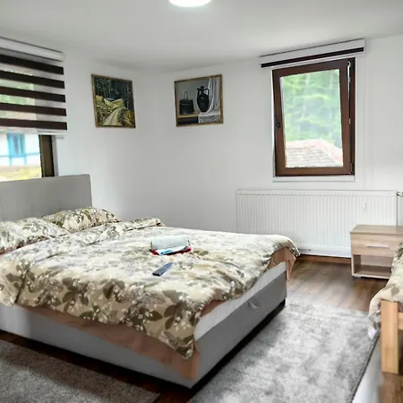 Panzió Turisticko Domacinstvo Tronoski Vajati *